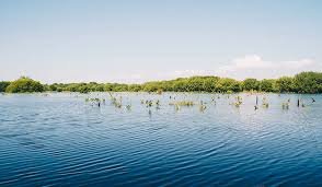 EcoTour